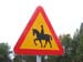 Suede - Panneau Attention aux chevaux