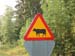 Suede - Panneau Attention aux vaches