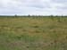 1033 - Estonie - No man's land - Ou planter la tente..