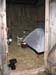 10042 - Bivouac dans une grange