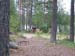 1009 - Meme bivouac, des rennes nous rendent visite le matin