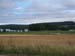 1013 - Paysage, on retrouve les champs et les vaches !