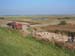 1049 - Arret force, marquage des moutons