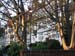 1014 - Maisons londoniennes