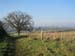 1022 - Frome - Le champ de Chris et Cordelia ou nous plantons les arbres