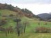 1008 - Campagne basque, tres verte !