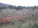 1021 - Paysage des Asturies