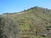 2003 - Alentejo