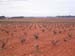 2017 - Apres Albacete, les vignes nous offrent des paysages tres colores